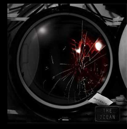 Queen of the Food‐Chain / Inertia Cover