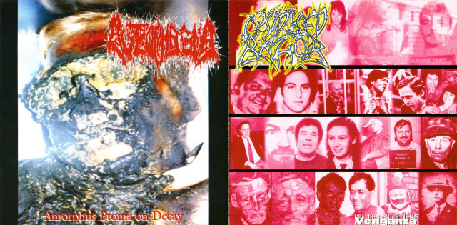 Venganza / Amorphus Ptoma on Decay Cover