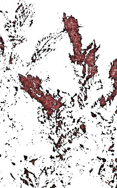 Skogens hjärta Cover