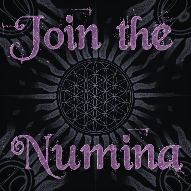 Join the Numina Cover