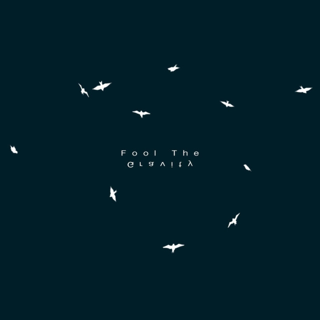 Fool the Gravity Cover