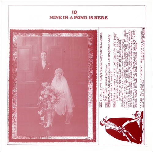 Nine in a Pond Is Here Cover