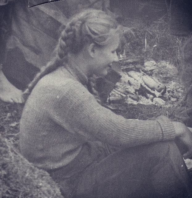 Dubinina Theme Cover